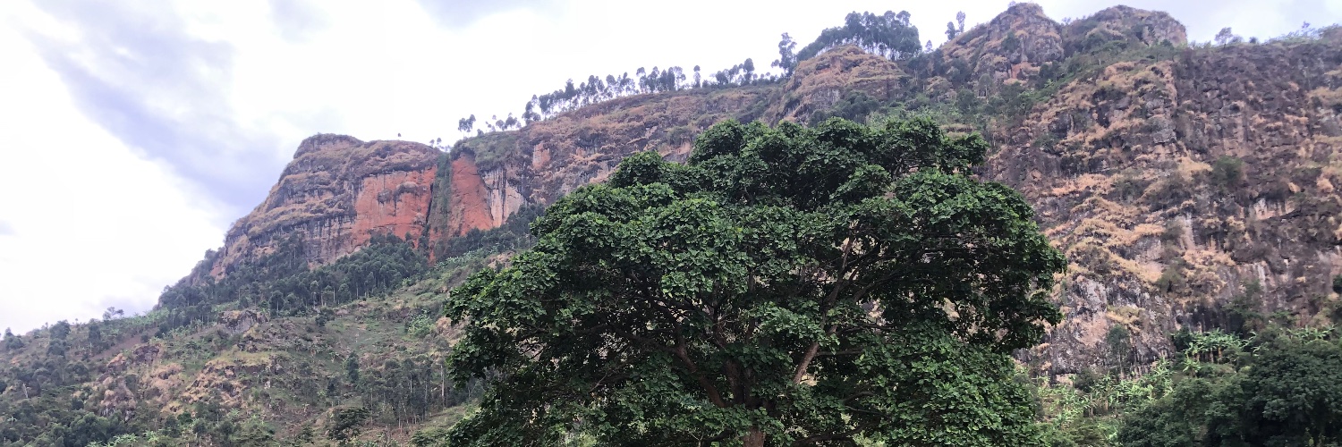 mkasemiire's profile banner image
