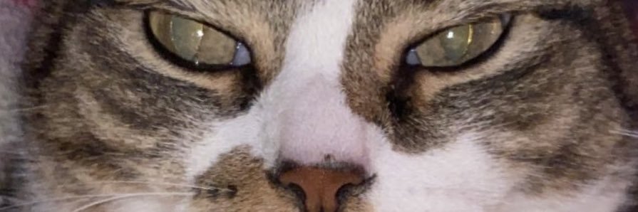 racellagasca's profile banner image