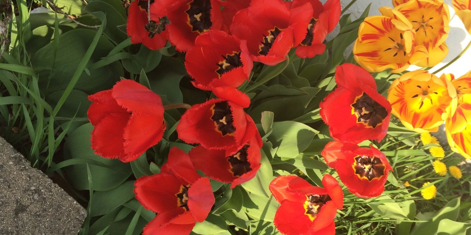 H_Bethanee's profile banner image