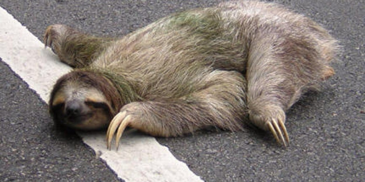CreepySloth's profile banner image