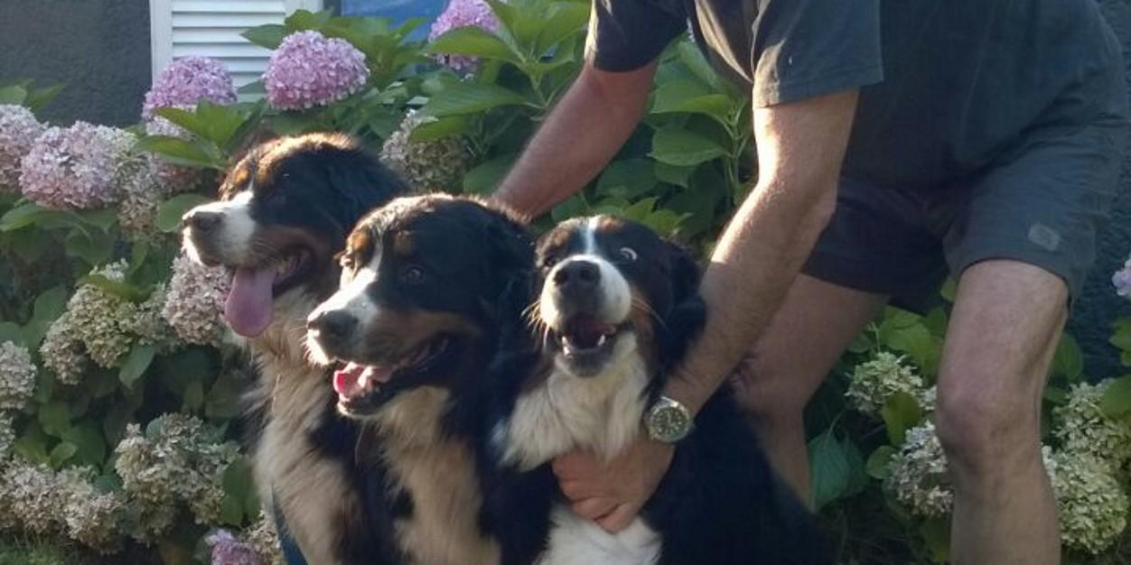 diego paseyro banner