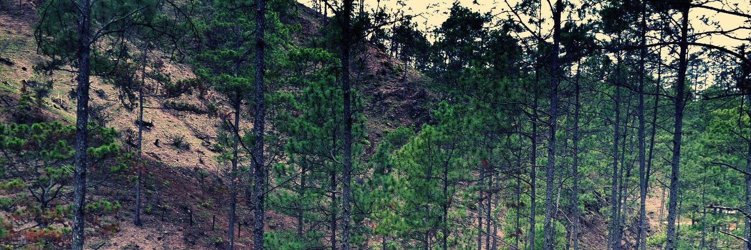 aaorellanac's profile banner image