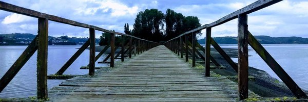 jorgerauld Profile Banner
