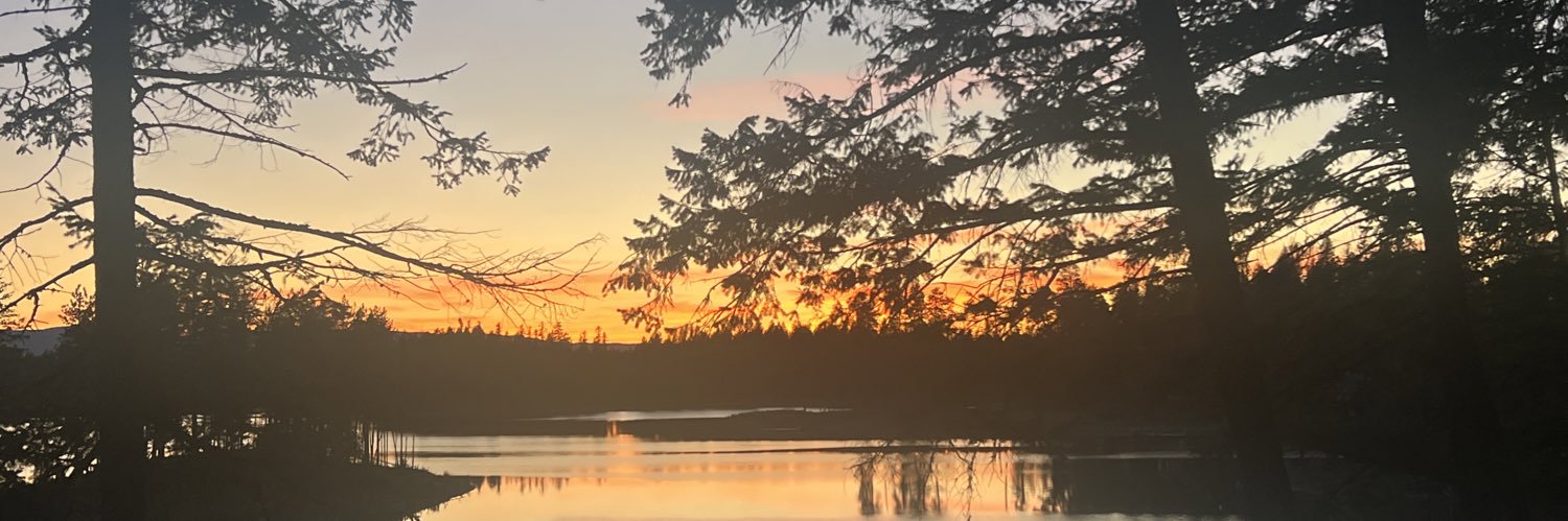 BrigettaSwag's profile banner image