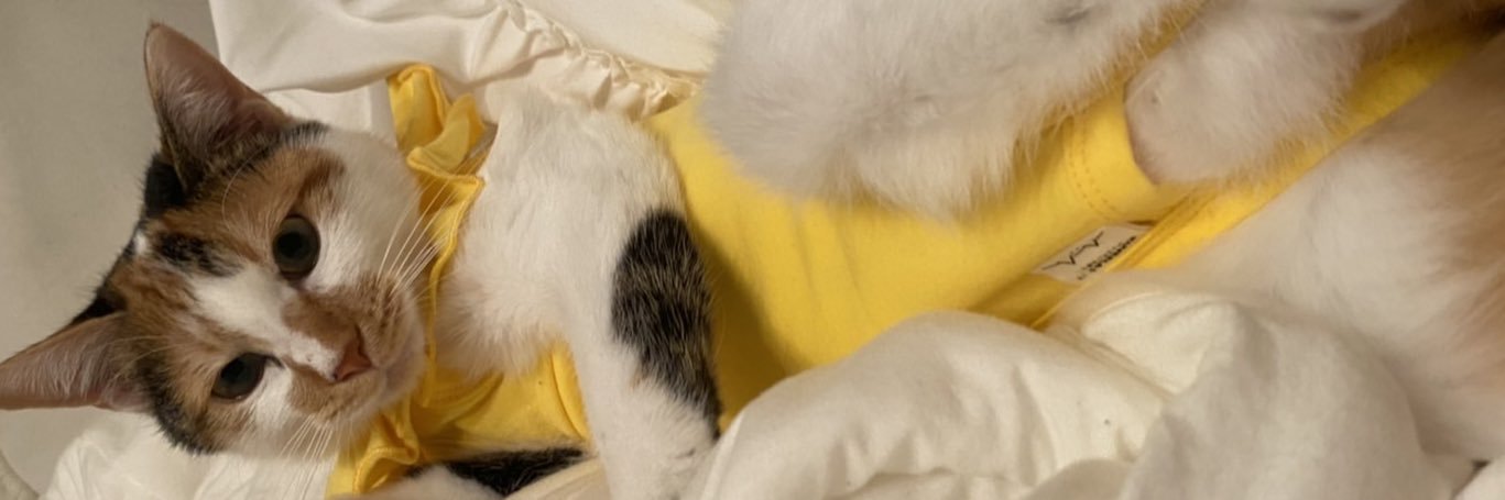 pc_ka73y's profile banner image