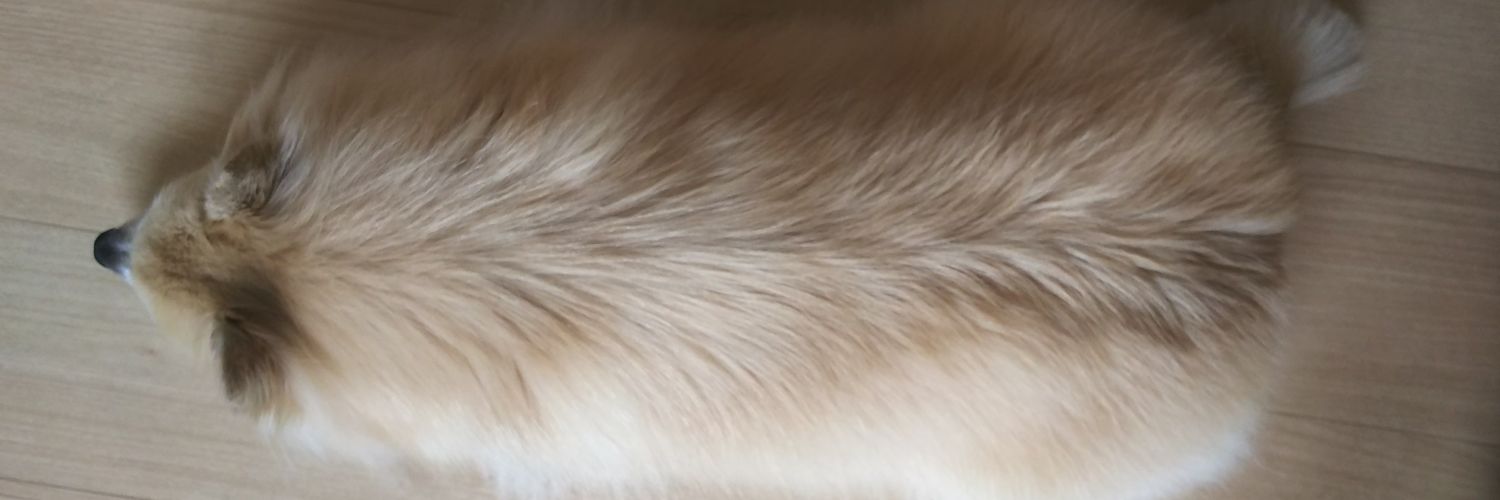 HTenchan's profile banner image