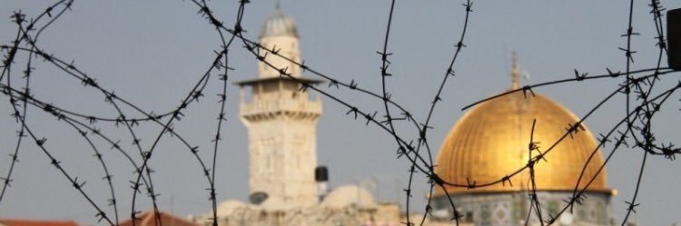 lelealthani's profile banner image
