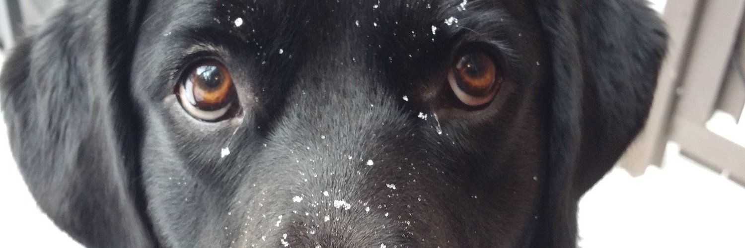 jfbussieres's profile banner image