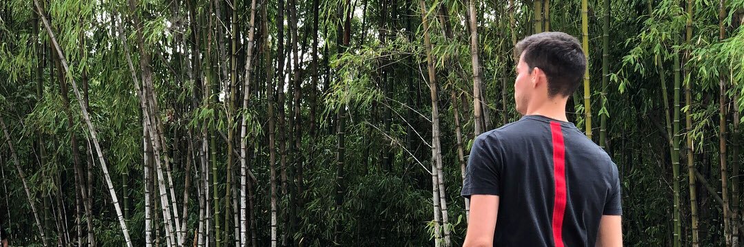 RafaelhSanchezf's profile banner image