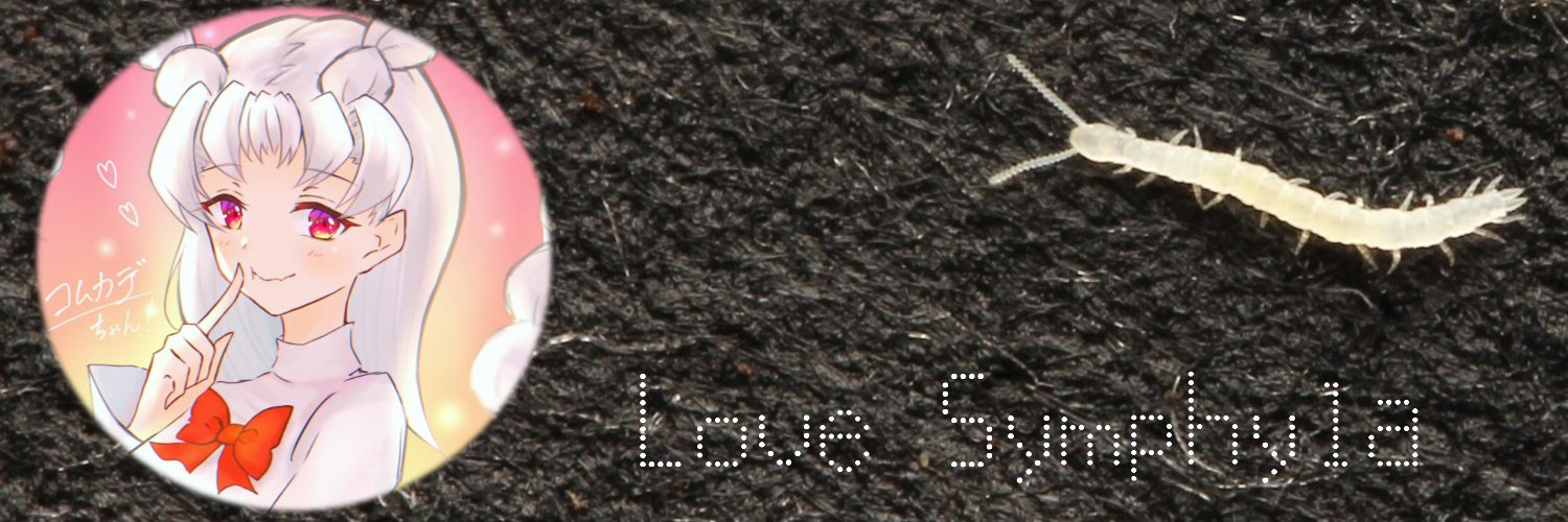 xjoo92's profile banner image