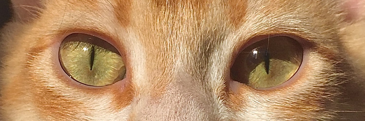 hakanaracc's profile banner image