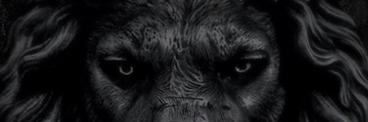 tbchosen's profile banner image