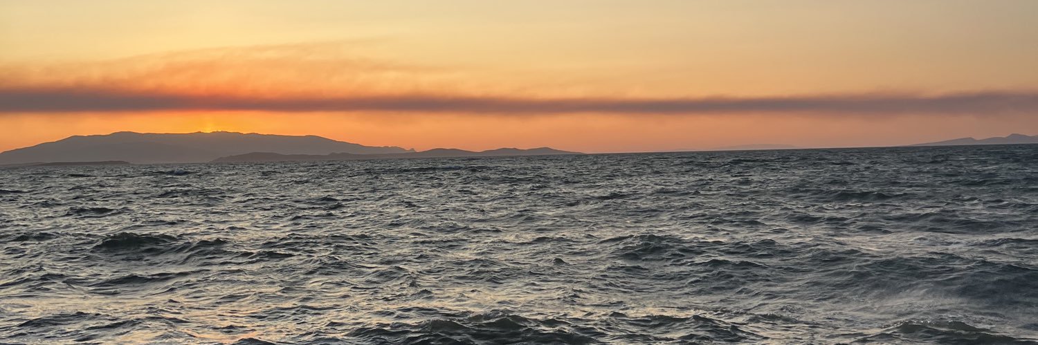 Bora | Reacher banner