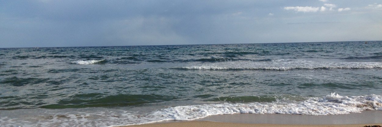 Francesca Segarra banner