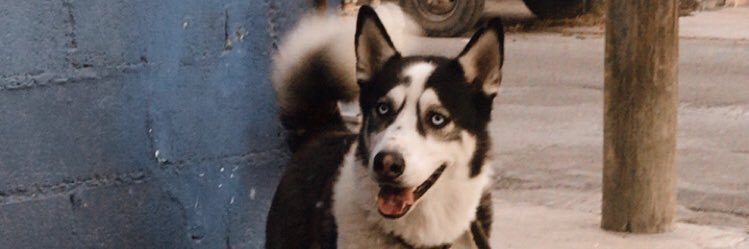 feersh_'s profile banner image