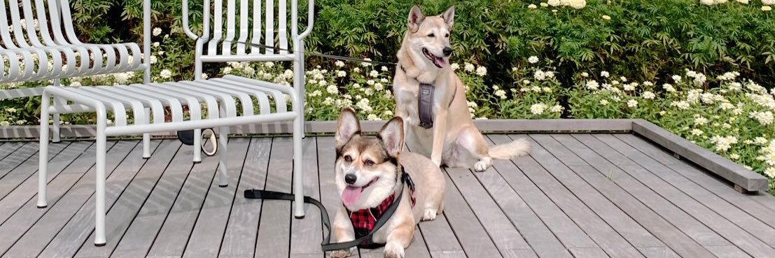 町田 敬介 banner