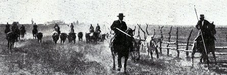 Duque de Veragua banner