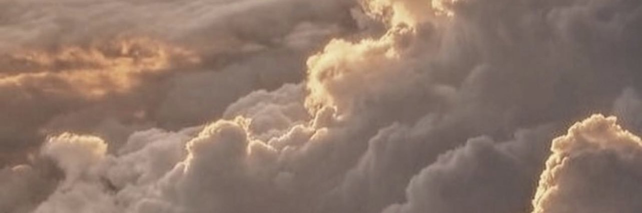 alexandralee53's profile banner image