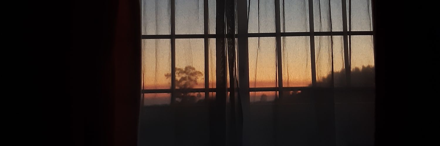 sofiamabrantes's profile banner image