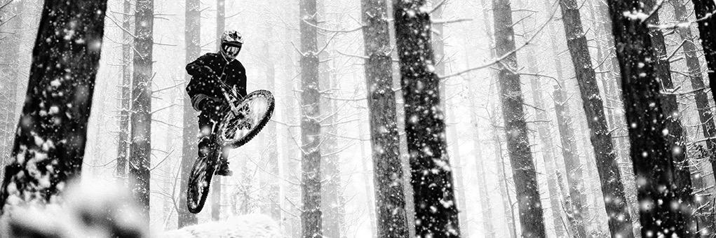ascphoto's profile banner image