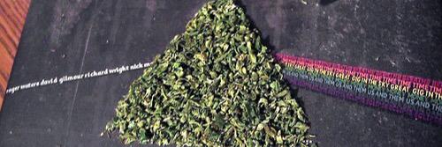 StonedCola's profile banner image