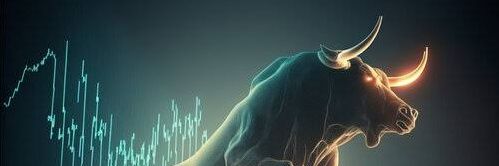Bull_run2026's profile banner image