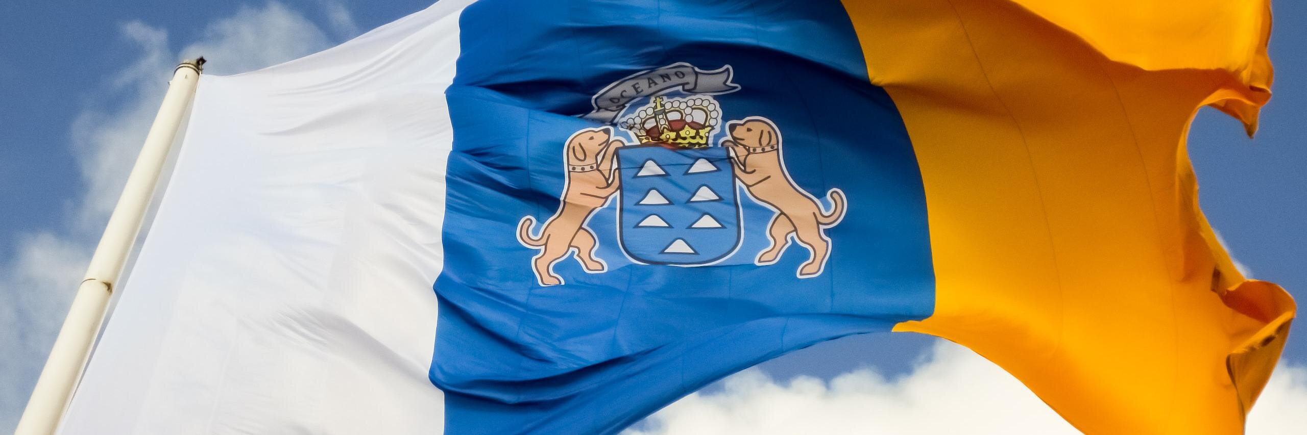 Adrian Mayor 🇮🇨 ⚖️ banner