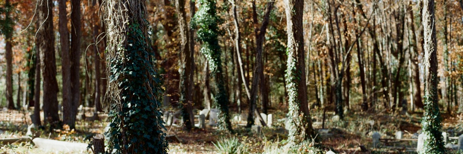 Brad J. Bennett banner