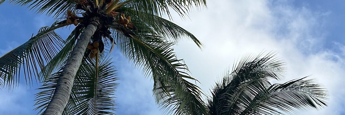 buzzybeeforum's profile banner image