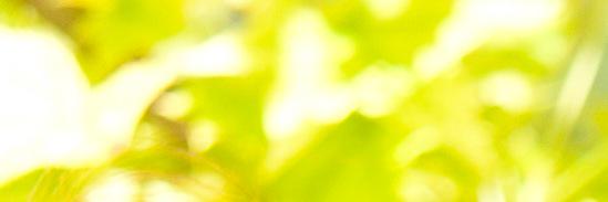 MariadelMarPA's profile banner image
