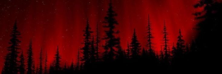 AriadneSA's profile banner image