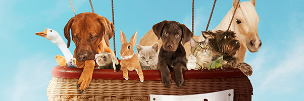 NPSExhibitors's profile banner image