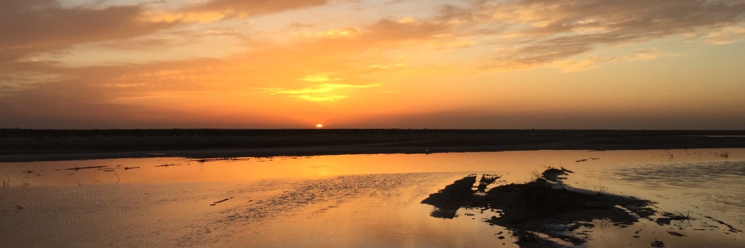 ar_shami's profile banner image