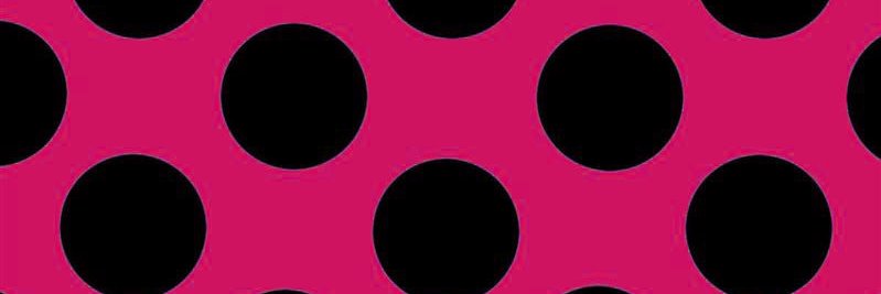 Holy_PunkRocker's profile banner image