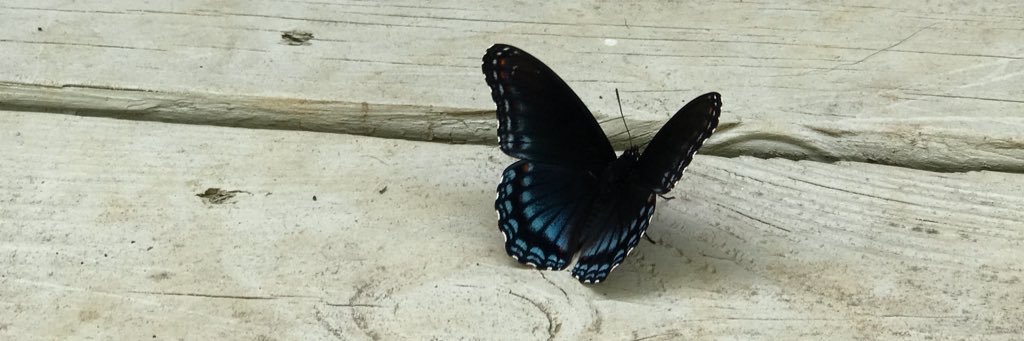 kaitiewood_'s profile banner image