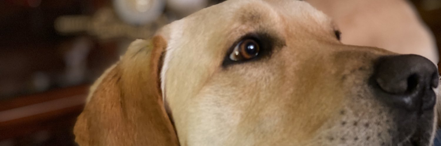 abgd89's profile banner image
