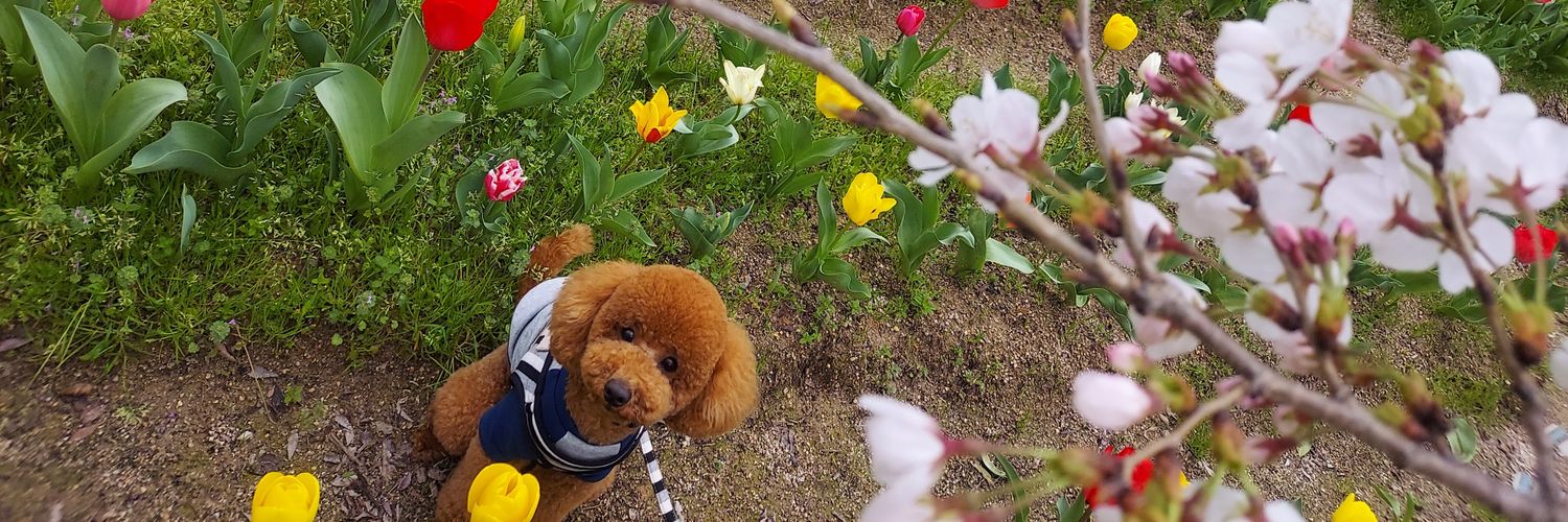 45skeyKor's profile banner image
