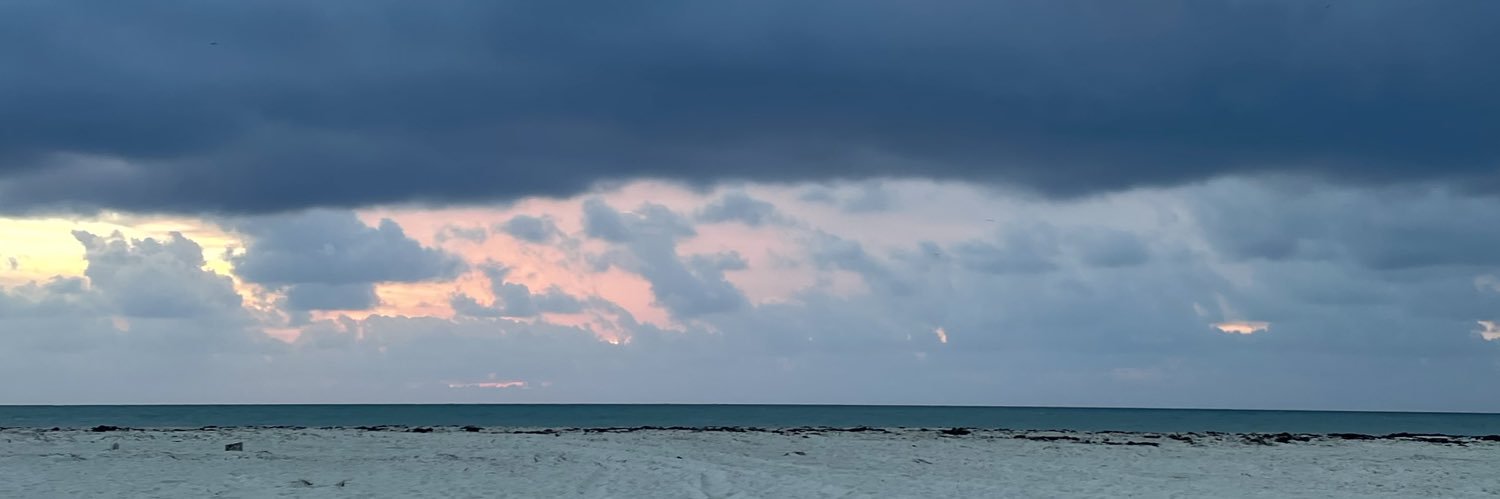 aimesich's profile banner image