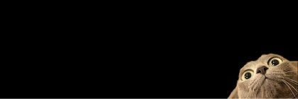 voleibacau's profile banner image
