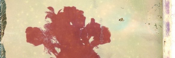 xxbblu's profile banner image