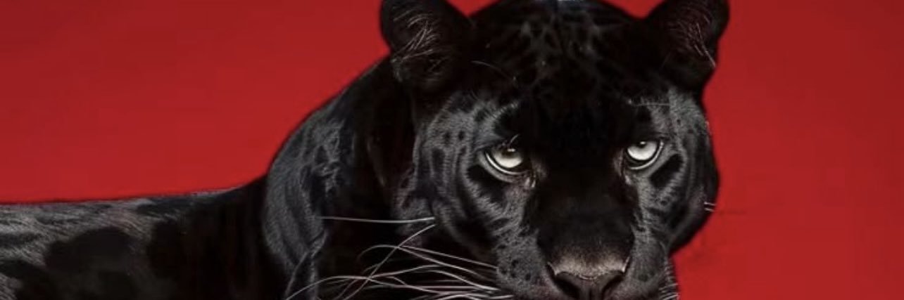 AjaylaMijoi's profile banner image