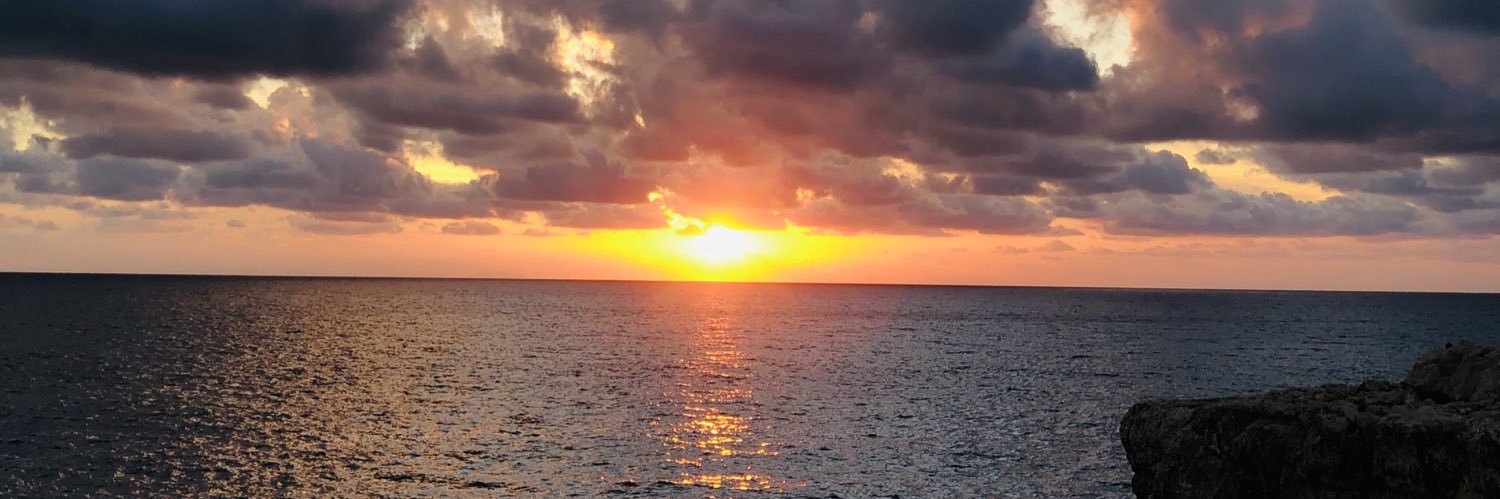 ariadnapeidro's profile banner image
