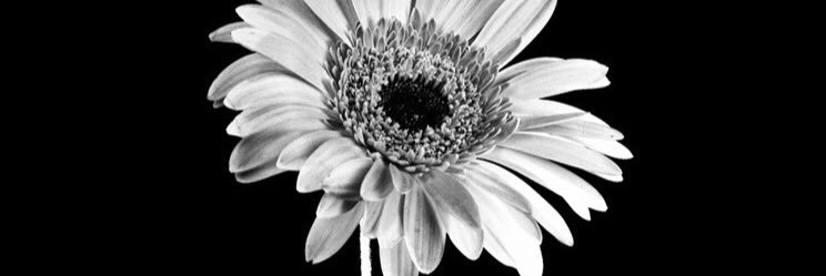 bihtercyy's profile banner image