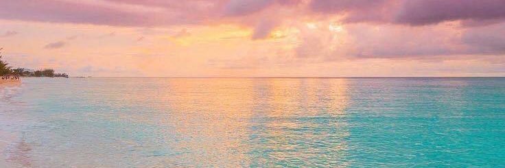 Leticia Santiago banner