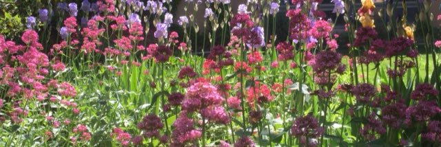 Dr. Keep Fighting scharffv@threads.net banner