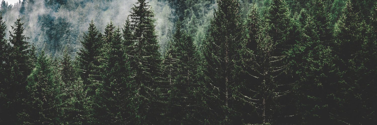 LynnAlexxandra's profile banner image