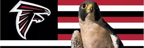 dirtybird92's profile banner image