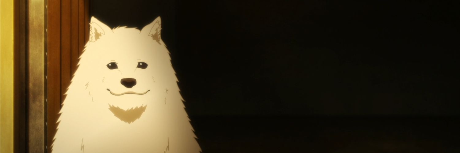 Wisdom banner