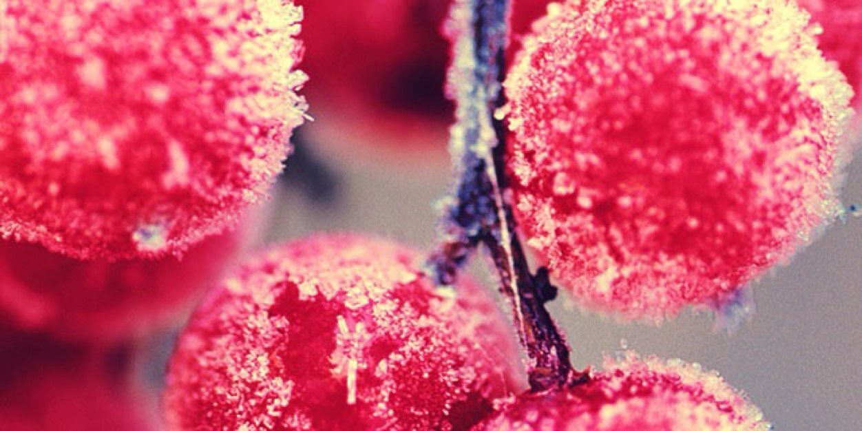 emmyluvscandy's profile banner image