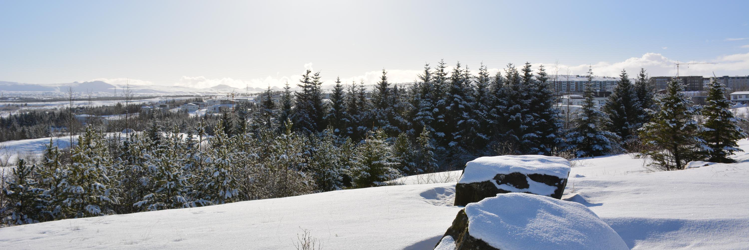 lindavanewijk's profile banner image
